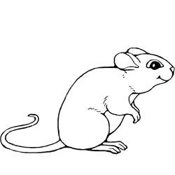 Раскраска: мышь (Животные) #13947 - Бесплатные раскраски для печати