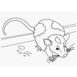 Раскраска: мышь (Животные) #13963 - Бесплатные раскраски для печати