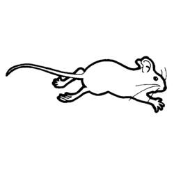 Раскраска: мышь (Животные) #13985 - Бесплатные раскраски для печати
