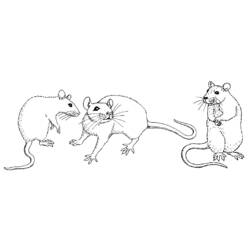 Раскраска: мышь (Животные) #14056 - Бесплатные раскраски для печати