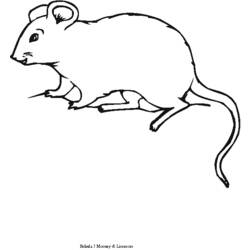 Раскраска: мышь (Животные) #14111 - Бесплатные раскраски для печати