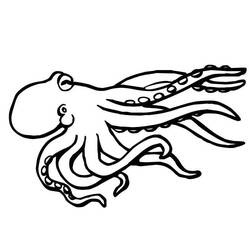 Раскраска: осьминог (Животные) #18931 - Бесплатные раскраски для печати