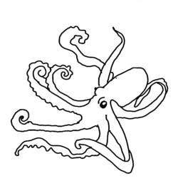 Раскраска: осьминог (Животные) #18954 - Бесплатные раскраски для печати
