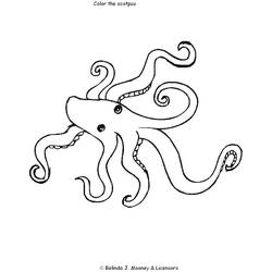 Раскраска: осьминог (Животные) #18965 - Бесплатные раскраски для печати