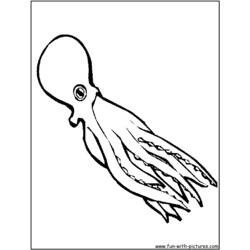 Раскраска: осьминог (Животные) #19031 - Бесплатные раскраски для печати