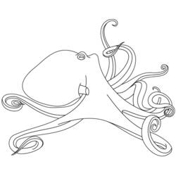 Раскраска: осьминог (Животные) #19075 - Бесплатные раскраски для печати