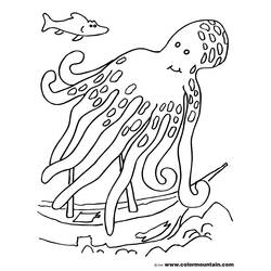 Раскраска: осьминог (Животные) #19087 - Бесплатные раскраски для печати