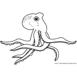 Раскраска: осьминог (Животные) #19095 - Бесплатные раскраски для печати