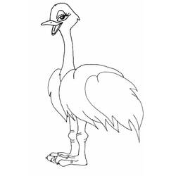Раскраска: страус (Животные) #676 - Бесплатные раскраски для печати