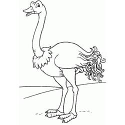 Раскраска: страус (Животные) #677 - Бесплатные раскраски для печати
