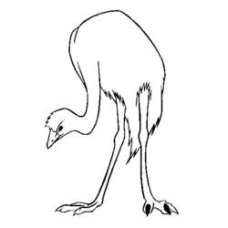 Раскраска: страус (Животные) #681 - Бесплатные раскраски для печати