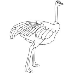 Раскраска: страус (Животные) #682 - Бесплатные раскраски для печати