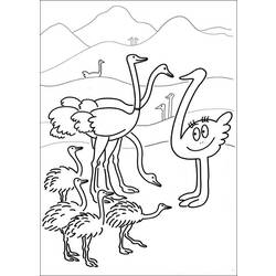 Раскраска: страус (Животные) #722 - Бесплатные раскраски для печати