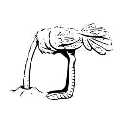 Раскраска: страус (Животные) #748 - Бесплатные раскраски для печати