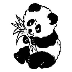 Раскраска: панда (Животные) #12438 - Бесплатные раскраски для печати