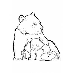 Раскраска: панда (Животные) #12454 - Бесплатные раскраски для печати
