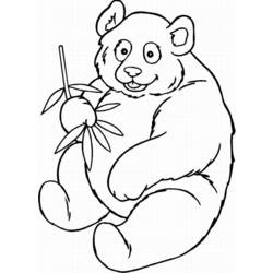 Раскраска: панда (Животные) #12455 - Бесплатные раскраски для печати