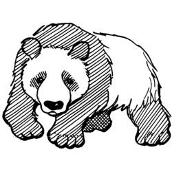 Раскраска: панда (Животные) #12462 - Бесплатные раскраски для печати