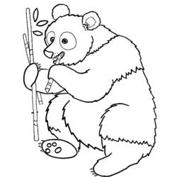 Раскраска: панда (Животные) #12463 - Бесплатные раскраски для печати