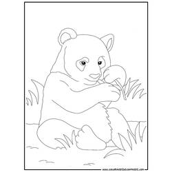 Раскраска: панда (Животные) #12488 - Бесплатные раскраски для печати