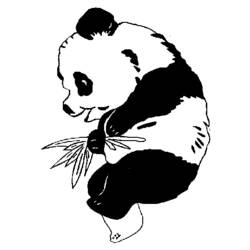 Раскраска: панда (Животные) #12499 - Бесплатные раскраски для печати