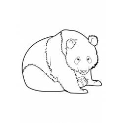 Раскраска: панда (Животные) #12509 - Бесплатные раскраски для печати