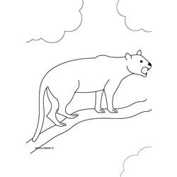 Раскраска: пантера (Животные) #15525 - Бесплатные раскраски для печати