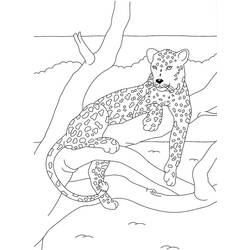 Раскраска: пантера (Животные) #15557 - Бесплатные раскраски для печати
