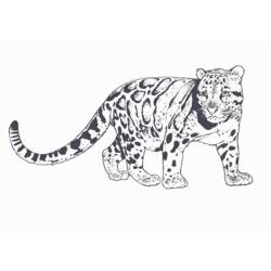 Раскраска: пантера (Животные) #15651 - Бесплатные раскраски для печати