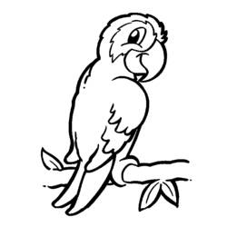 Раскраска: попугай (Животные) #16061 - Бесплатные раскраски для печати
