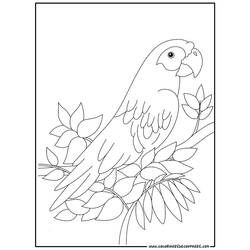 Раскраска: попугай (Животные) #16078 - Бесплатные раскраски для печати