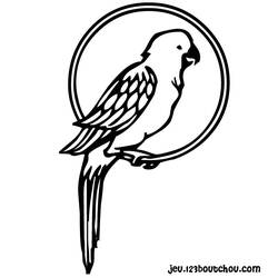 Раскраска: попугай (Животные) #16080 - Бесплатные раскраски для печати