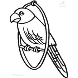 Раскраска: попугай (Животные) #16112 - Бесплатные раскраски для печати