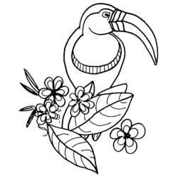 Раскраска: попугай (Животные) #16164 - Бесплатные раскраски для печати