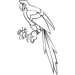 Раскраска: попугай (Животные) #16184 - Бесплатные раскраски для печати