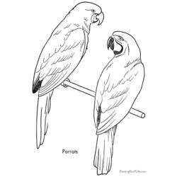Раскраска: попугай (Животные) #16194 - Бесплатные раскраски для печати