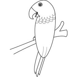 Раскраска: попугай (Животные) #16239 - Бесплатные раскраски для печати