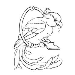 Раскраска: попугай (Животные) #16252 - Бесплатные раскраски для печати