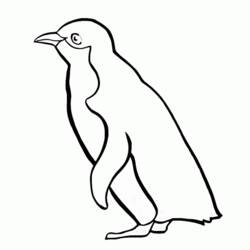 Раскраска: гагарка (Животные) #16874 - Бесплатные раскраски для печати
