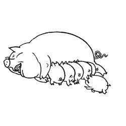 Раскраска: свинья (Животные) #3599 - Бесплатные раскраски для печати