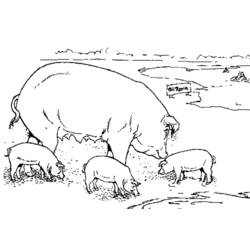 Раскраска: свинья (Животные) #3661 - Бесплатные раскраски для печати