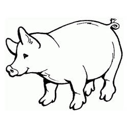 Раскраска: свинина (Животные) #17621 - Бесплатные раскраски для печати
