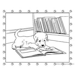 Раскраска: щенок (Животные) #2973 - Бесплатные раскраски для печати