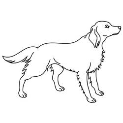 Раскраска: щенок (Животные) #2995 - Бесплатные раскраски для печати