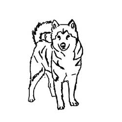 Раскраска: щенок (Животные) #3048 - Бесплатные раскраски для печати