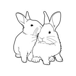 Раскраска: кролик (Животные) #9503 - Бесплатные раскраски для печати