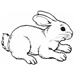 Раскраска: кролик (Животные) #9507 - Бесплатные раскраски для печати