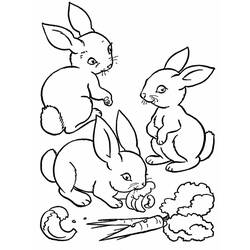 Раскраска: кролик (Животные) #9522 - Бесплатные раскраски для печати