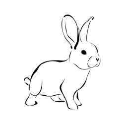 Раскраска: кролик (Животные) #9528 - Бесплатные раскраски для печати
