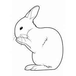 Раскраска: кролик (Животные) #9554 - Бесплатные раскраски для печати